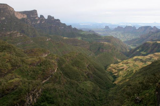 CHENNEK AT THE SIMIEN MOUNTAINS NATIONAL PARK